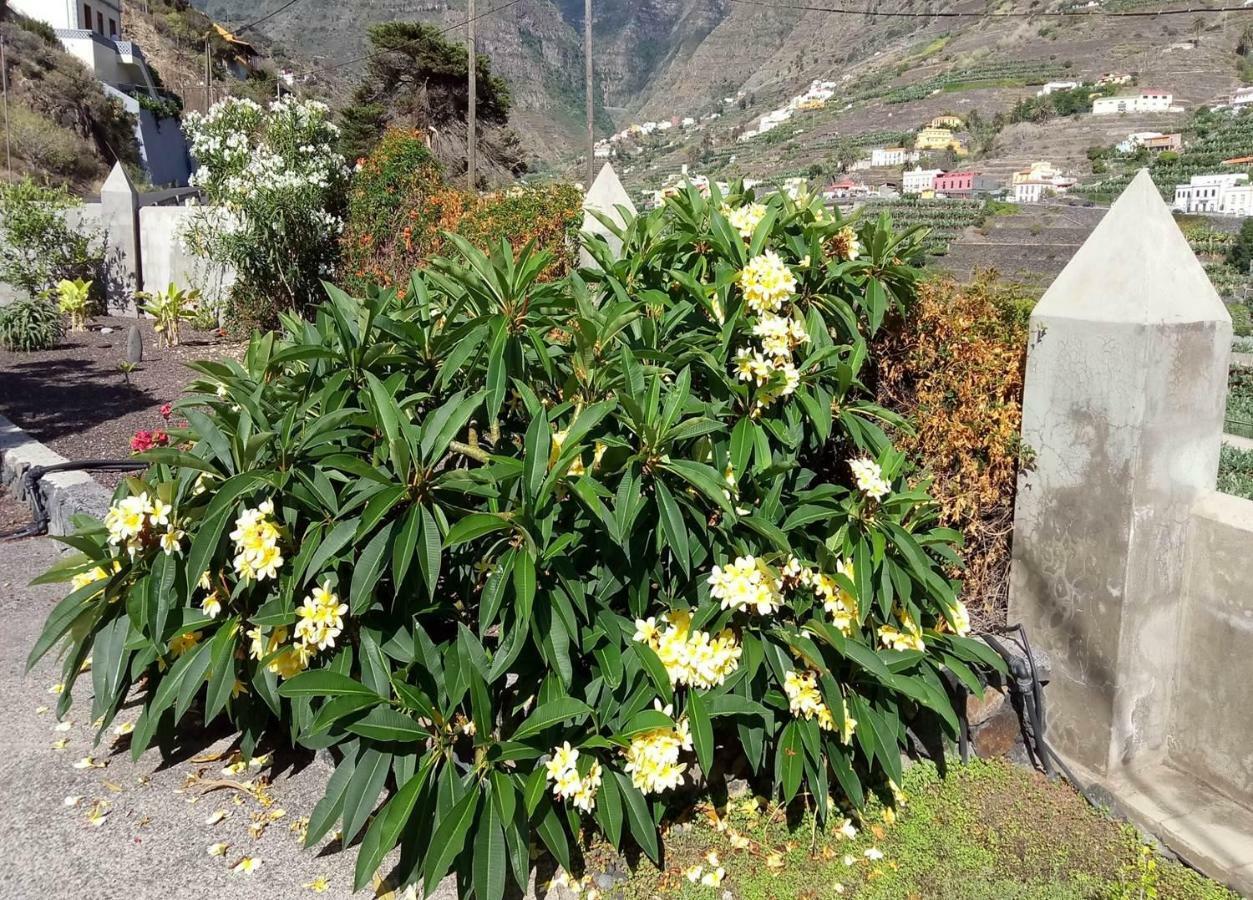 Gomera Garden. Vista Mar Altozano Hermigua Zewnętrze zdjęcie